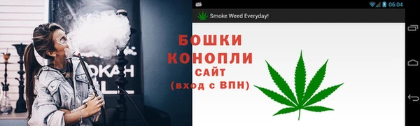 ГАЛЛЮЦИНОГЕННЫЕ ГРИБЫ Осинники