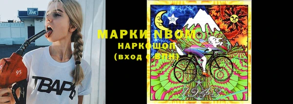 ГАЛЛЮЦИНОГЕННЫЕ ГРИБЫ Осинники