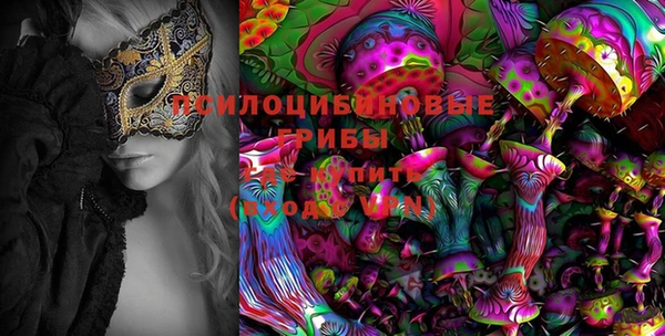 ГАЛЛЮЦИНОГЕННЫЕ ГРИБЫ Осинники