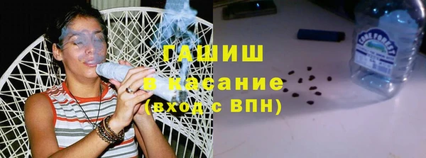 ГАЛЛЮЦИНОГЕННЫЕ ГРИБЫ Осинники