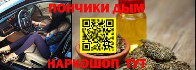 амф Дубна