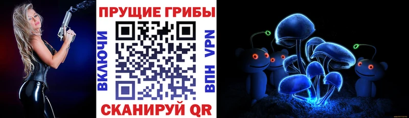 Галлюциногенные грибы GOLDEN TEACHER  Новоалтайск 